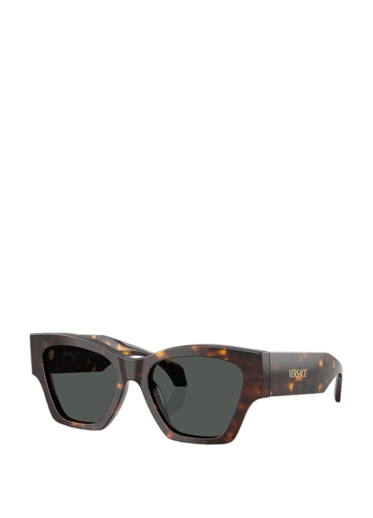 Versace 0VE4492U Sunglasses – men's eyewear