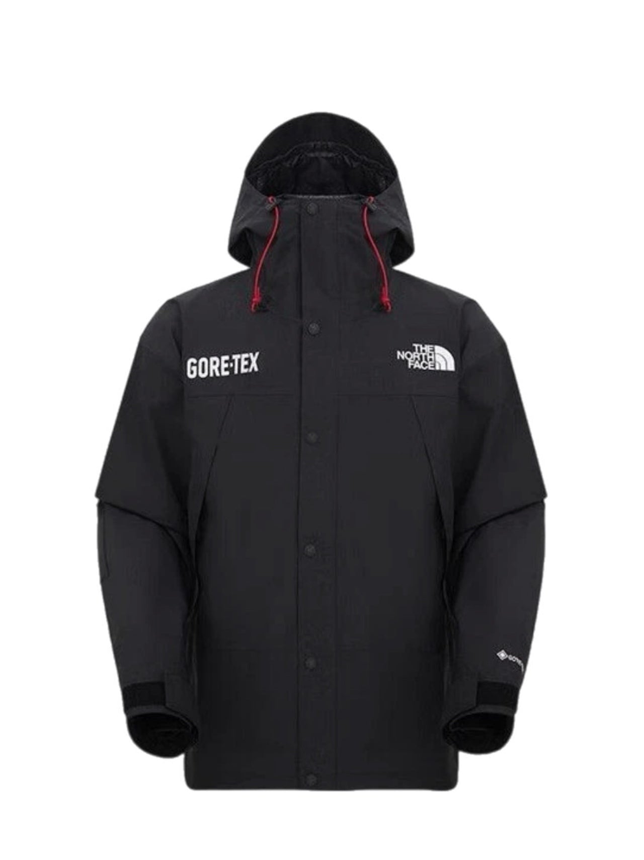 The North Face Men's Gtx Mountain Jacket
