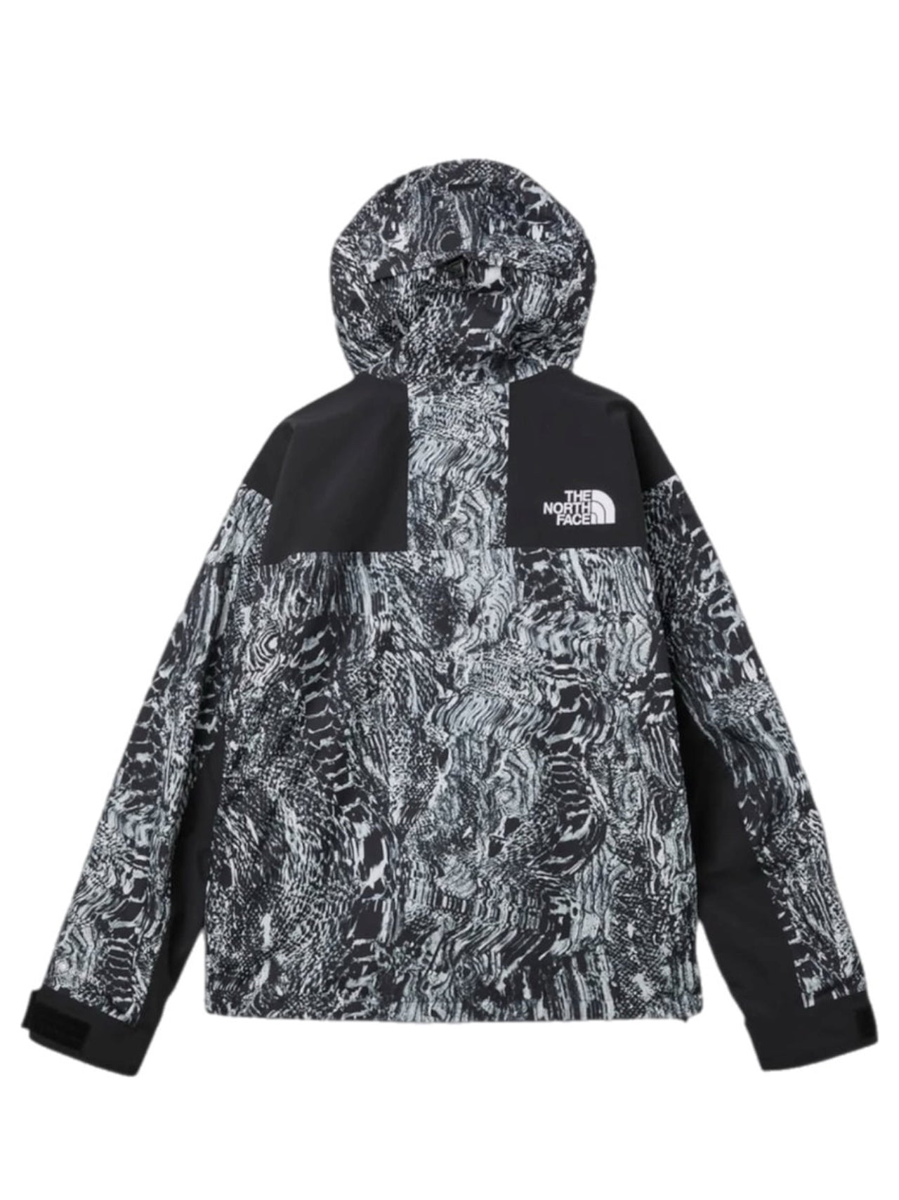 The North Face Men's Gtx Mountain Jacket