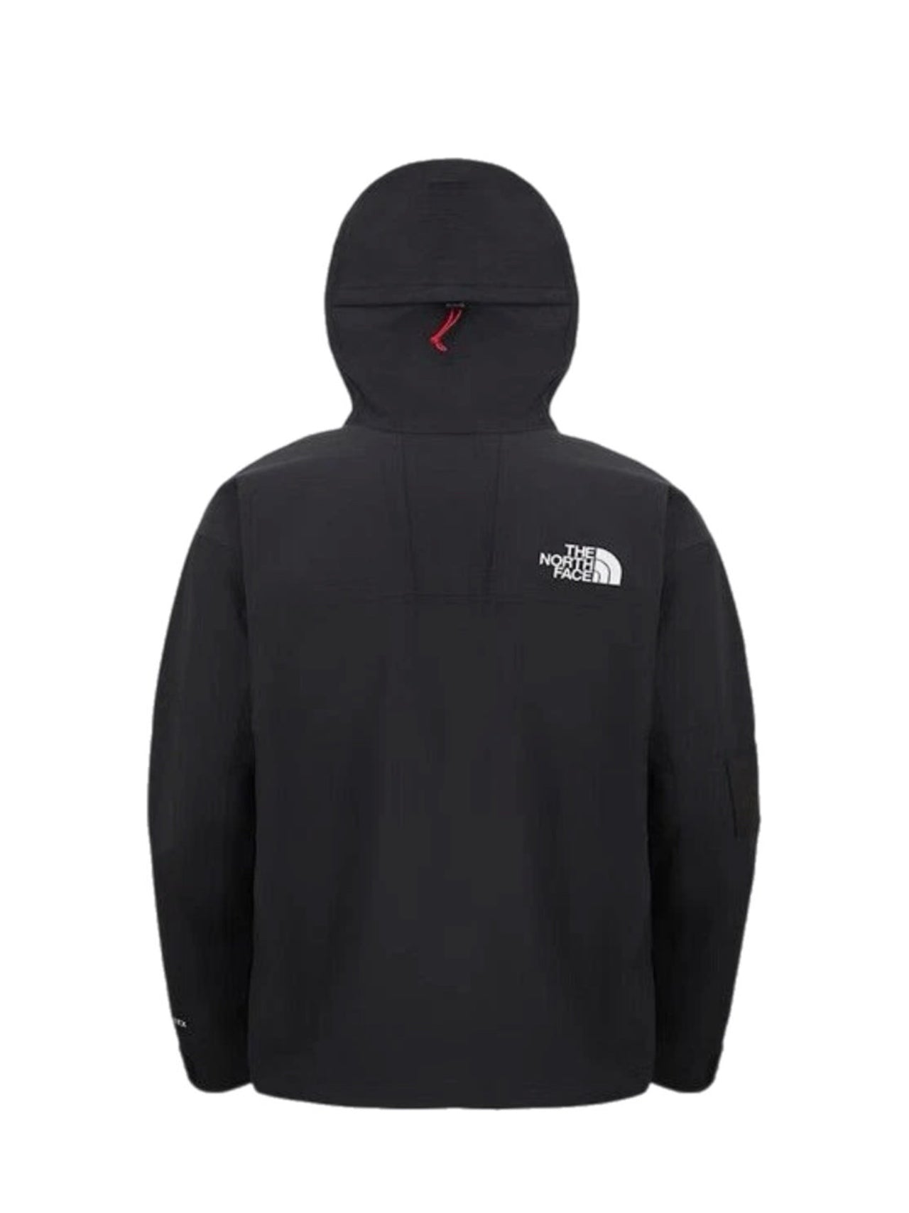 The North Face Men's Gtx Mountain Jacket