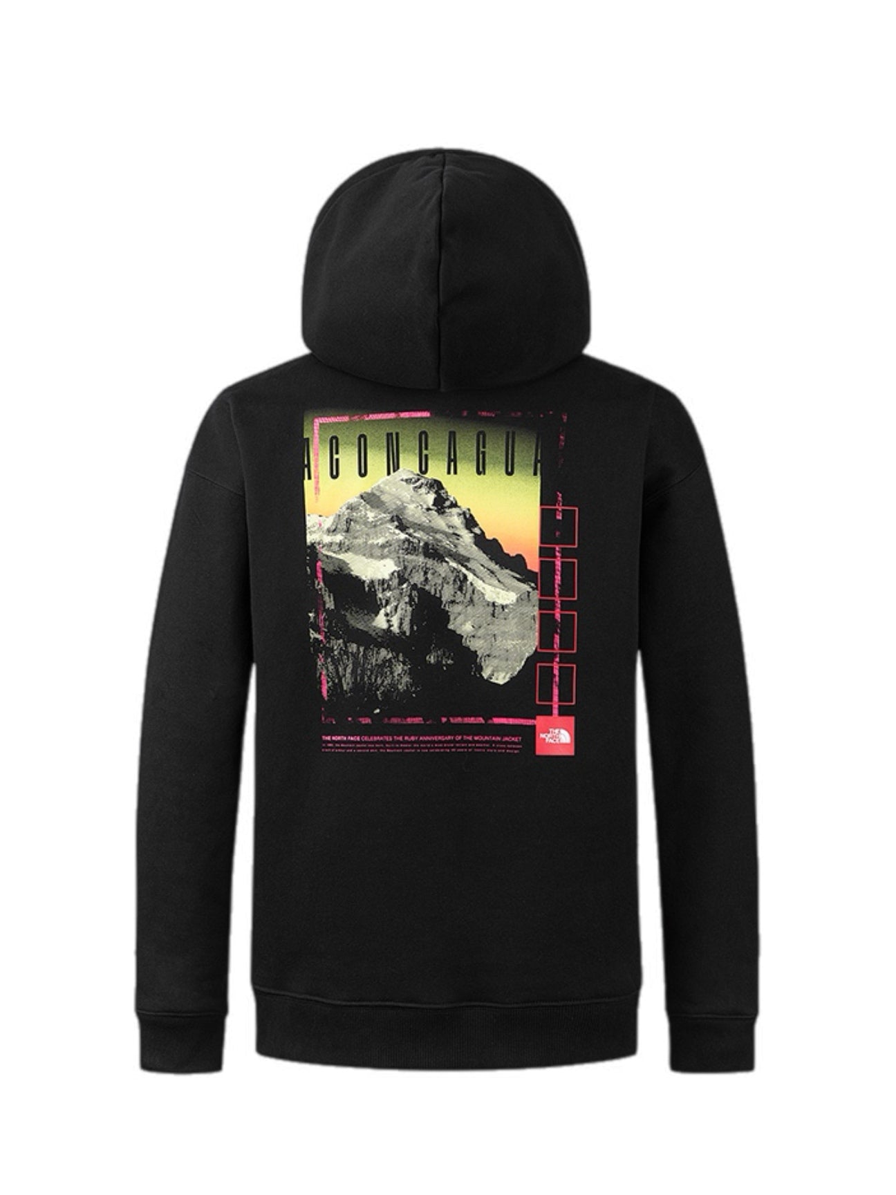 The North Face Men's Red Box Aconcagua Heavyweight Hoodie – men's designer sweatshirts (view 2)