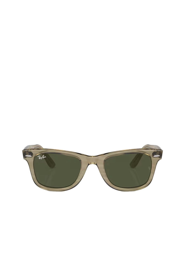 Ray Ban Wayfarer Color Change