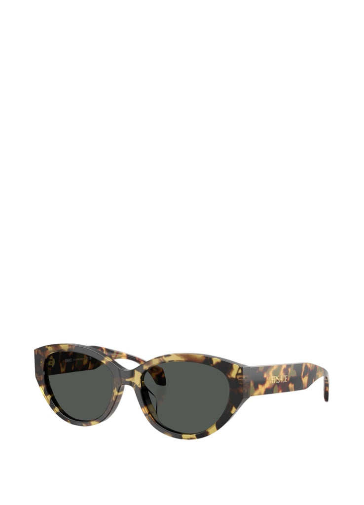 Versace 0VE4495D Sunglasses – men's eyewear