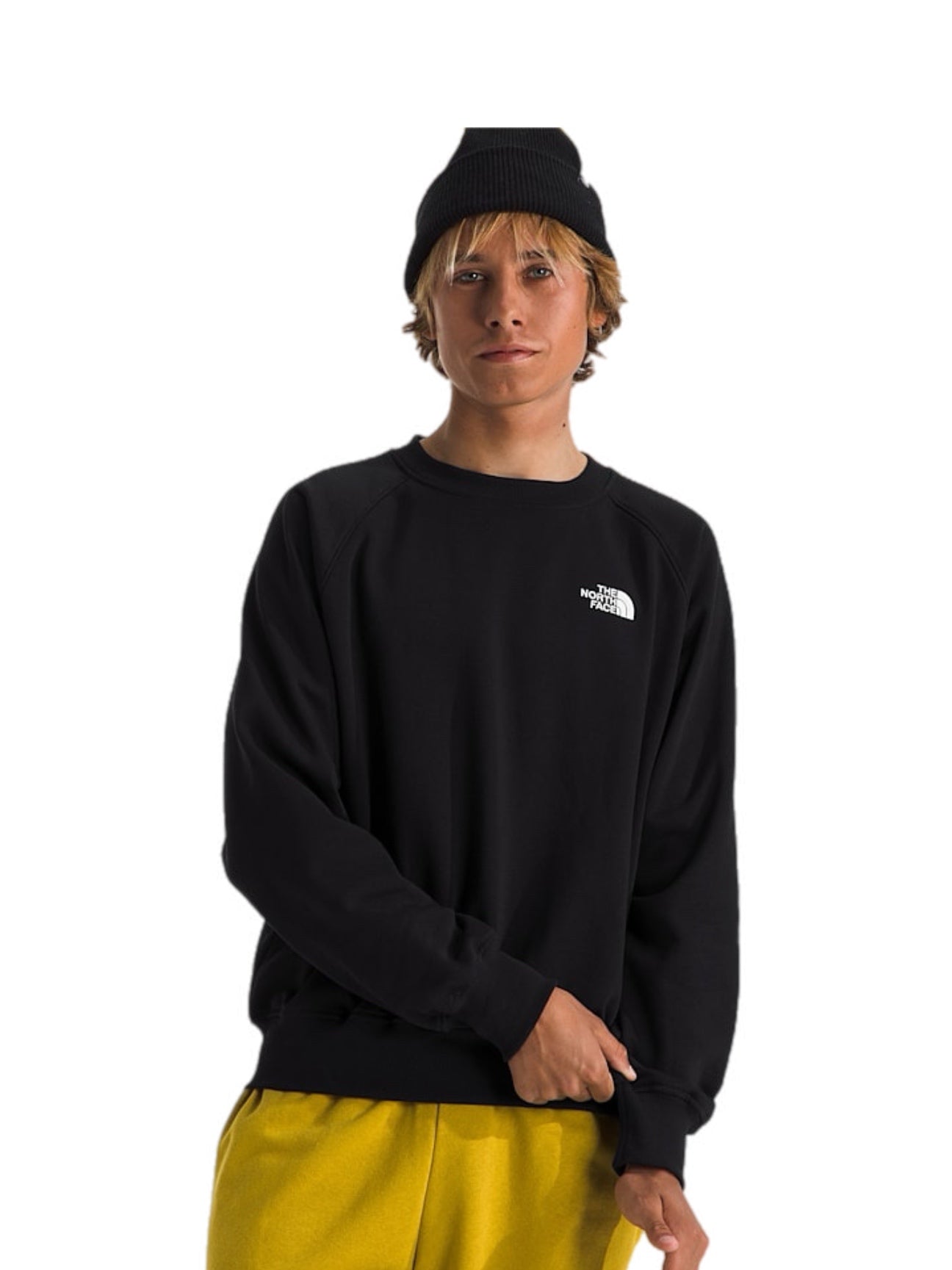 The North Face Men's Evolution Crew – men's designer clothing (view 3)