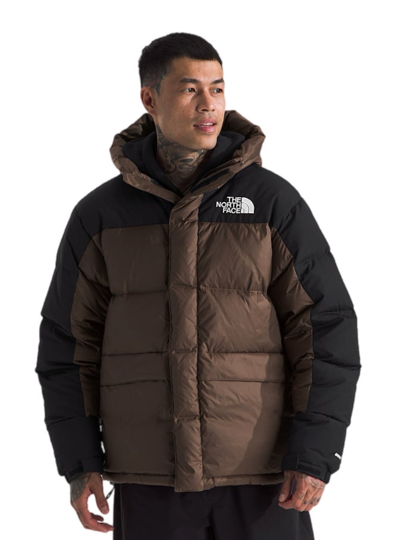 The North Face Men's HMLYN Baltoro Jacket – men's designer outerwear (view 4)