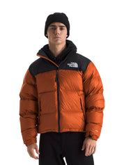 The North Face Men's HMLYN Down Parka – men's designer outerwear (view 4)