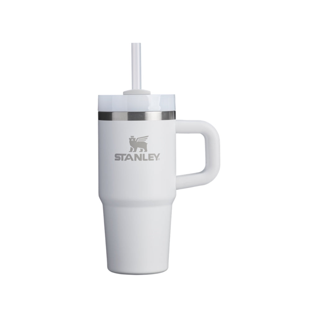 Stanley The Quencher H2.O FlowState Tumbler 14 oz – drinkware