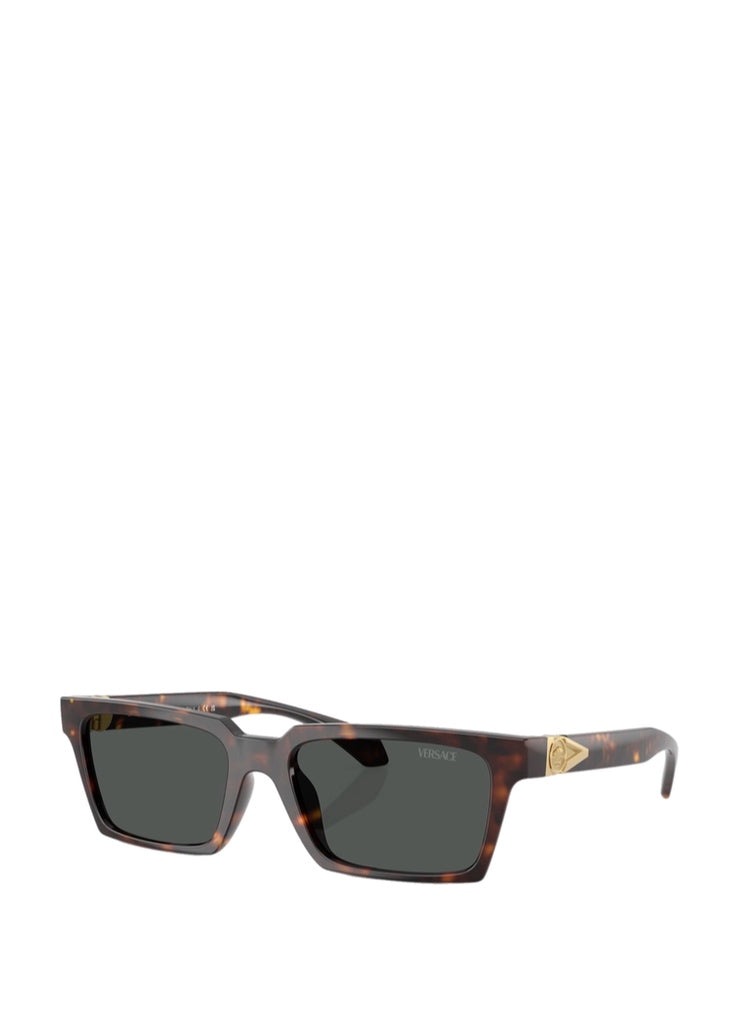 Versace 0VE4490U Sunglasses – men's eyewear