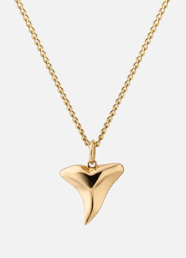 Shark Tooth Pendant Necklace 103-0315-002
